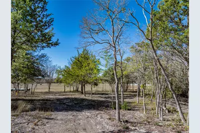 Tbd Bauer Rummel Road, Round Top, TX 78954 - Photo 4