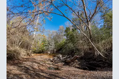 Tbd Bauer Rummel Road, Round Top, TX 78954 - Photo 18