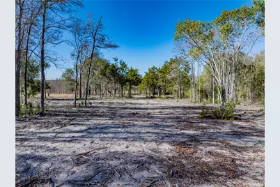 Tbd Bauer Rummel Road, Round Top, TX 78954 - Photo 6