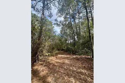 11140 Fm 1484 Road, Conroe, TX 77303 - Photo 22