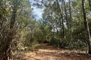 11140 FM 1484 Rd, Conroe, TX 77303 - Photo 22