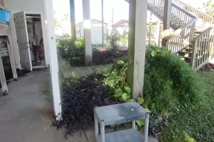 314 Shark Ln, Surfside Beach, TX 77541 - Photo 8