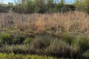 668 Rd 5816, Cleveland, TX 77327 - Photo 2