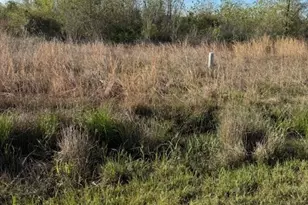 668 Rd 5816, Cleveland, TX 77327 - Photo 4