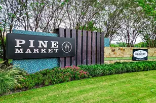 419 N Hillary Step Pl, Montgomery, TX 77316 - Photo 36