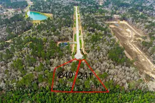 240 Hollow Hill Rd, New Waverly, TX 77358 - Photo 1