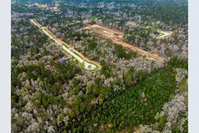 240 Hollow Hill Road, New Waverly, TX 77358 - Photo 6