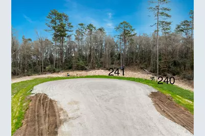 240 Hollow Hill Road, New Waverly, TX 77358 - Photo 10