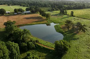 865 Sunnyfield Farm Rd, Montgomery, TX 77316 - Photo 8