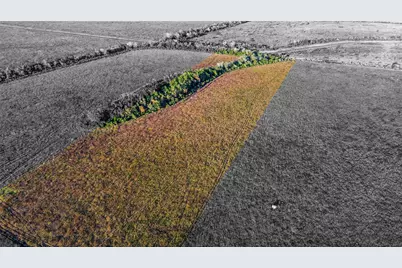 0 County Road 212, Angleton, TX 77515 - Photo 4