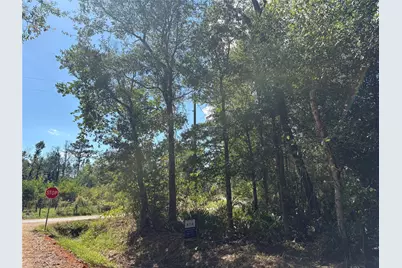 Lot 244 Mehringer Road, Shepherd, TX 77371 - Photo 8