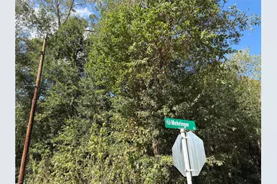 Lot 244 Mehringer Road, Shepherd, TX 77371 - Photo 6