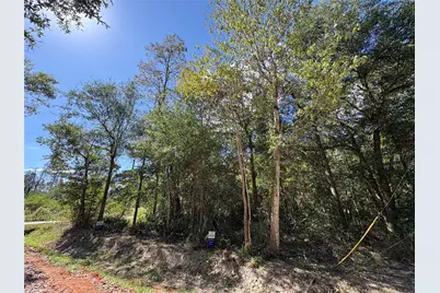 Lot 244 Mehringer Road, Shepherd, TX 77371 - Photo 1