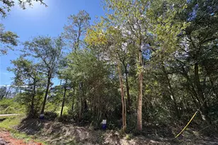 Lot 244 Mehringer Rd, Shepherd, TX 77371 - Photo 1