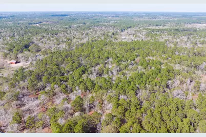 6698 Pine Shadows Road, Cleveland, TX 77328 - Photo 6