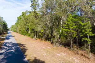 6698 Pine Shadows Rd, Cleveland, TX 77328 - Photo 16