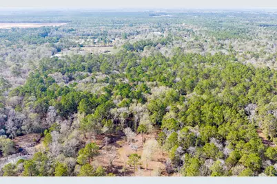 6698 Pine Shadows Road, Cleveland, TX 77328 - Photo 8