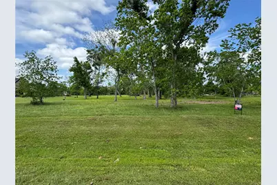 17114 Hamill Drive, Rosharon, TX 77583 - Photo 8