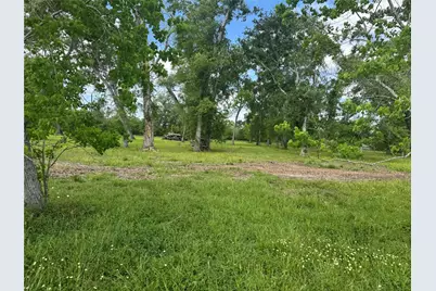 17114 Hamill Drive, Rosharon, TX 77583 - Photo 12