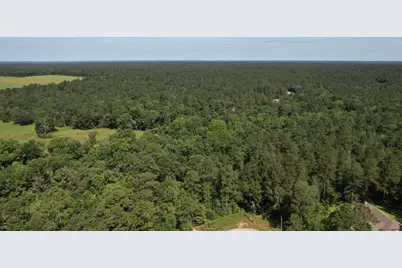 207 Sandpiper Drive, New Waverly, TX 77358 - Photo 10