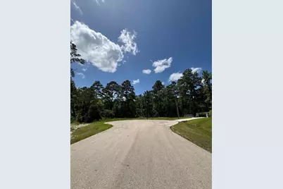 207 Sandpiper Drive, New Waverly, TX 77358 - Photo 1