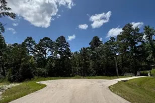 207 Sandpiper Dr, New Waverly, TX 77358 - Photo 1