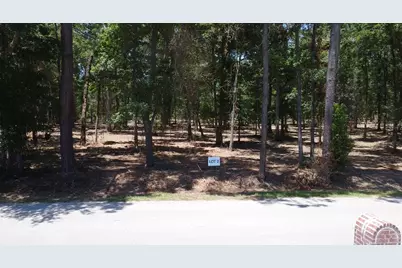 Lot 2 Crowley Road, Conroe, TX 77301 - Photo 2
