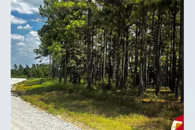 Tbd Trinity Trail, Lovelady, TX 75851 - Photo 1