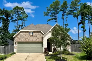 322 Fanpalm Ct, Conroe, TX 77318 - Photo 1