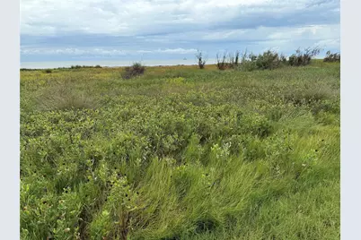 2234 Canal Drive, Sargent, TX 77414 - Photo 4