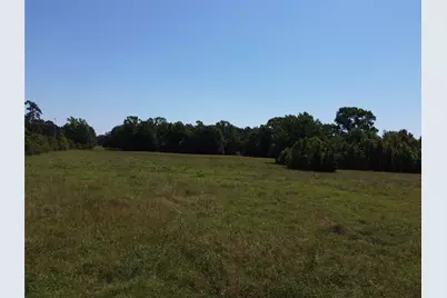 1 Tbd County Road 295, Garrison, TX 75946 - Photo 4
