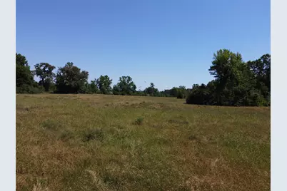 1 Tbd County Road 295, Garrison, TX 75946 - Photo 2