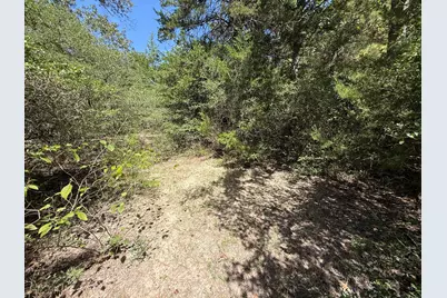 12704 Fm 831, Buffalo, TX 75831 - Photo 4