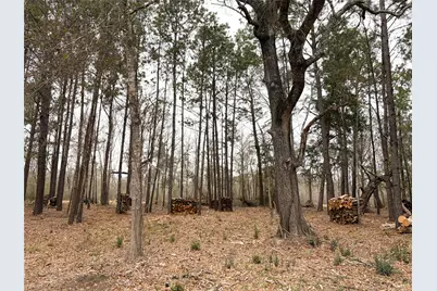 00 Eunice Pvt, Alvin, TX 77511 - Photo 4