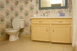 9231 Kostelnik St, Needville, TX 77461 - Photo 8