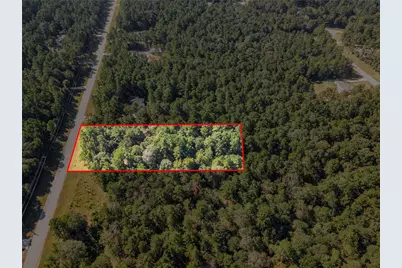 185 Rim Rock Road, Huntsville, TX 77340 - Photo 12