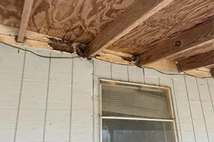 7738 Fm 331 Rd, Bellville, TX 77418 - Photo 40