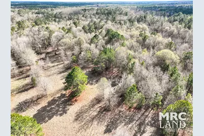 00 Sam Rayburn Pkwy, Colmesneil, TX 75951 - Photo 10