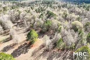 00 Sam Rayburn Parkway, Colmesneil, TX 75951 - Photo 10