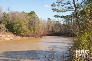 00 Sam Rayburn Parkway, Colmesneil, TX 75951 - Photo 22