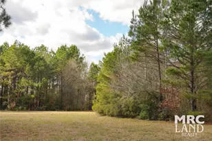 00 Sam Rayburn Parkway, Colmesneil, TX 75951 - Photo 4