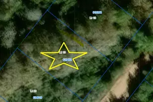 Tbd Holly Springs Dr, Hilltop Lakes, TX 77871 - Photo 1