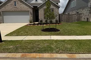 27222 Prairie Blazingstar Wy, Hockley, TX 77447 - Photo 2
