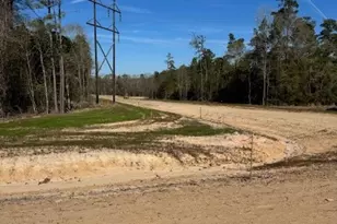 Tbd Lot 46 Highline Dr, Livingston, TX 77351 - Photo 1