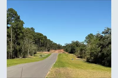 9304 Cedar Bnd Court, Plantersville, TX 77363 - Photo 8