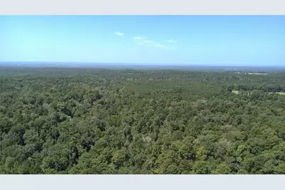 Tbd Cove Lake Drive, Livingston, TX 77351 - Photo 2