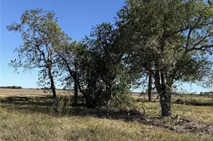 Tbd Lot 4 County Road 414, El Campo, TX 77437 - Photo 4