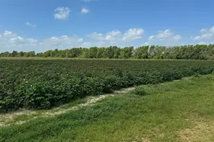 Tbd Lot 4 County Road 414, El Campo, TX 77437 - Photo 6