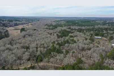 Tbd24 Ac County Road 2240, Grapeland, TX 75844 - Photo 8