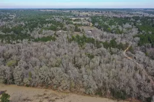 Tbd24 Ac County Road 2240, Grapeland, TX 75844 - Photo 1